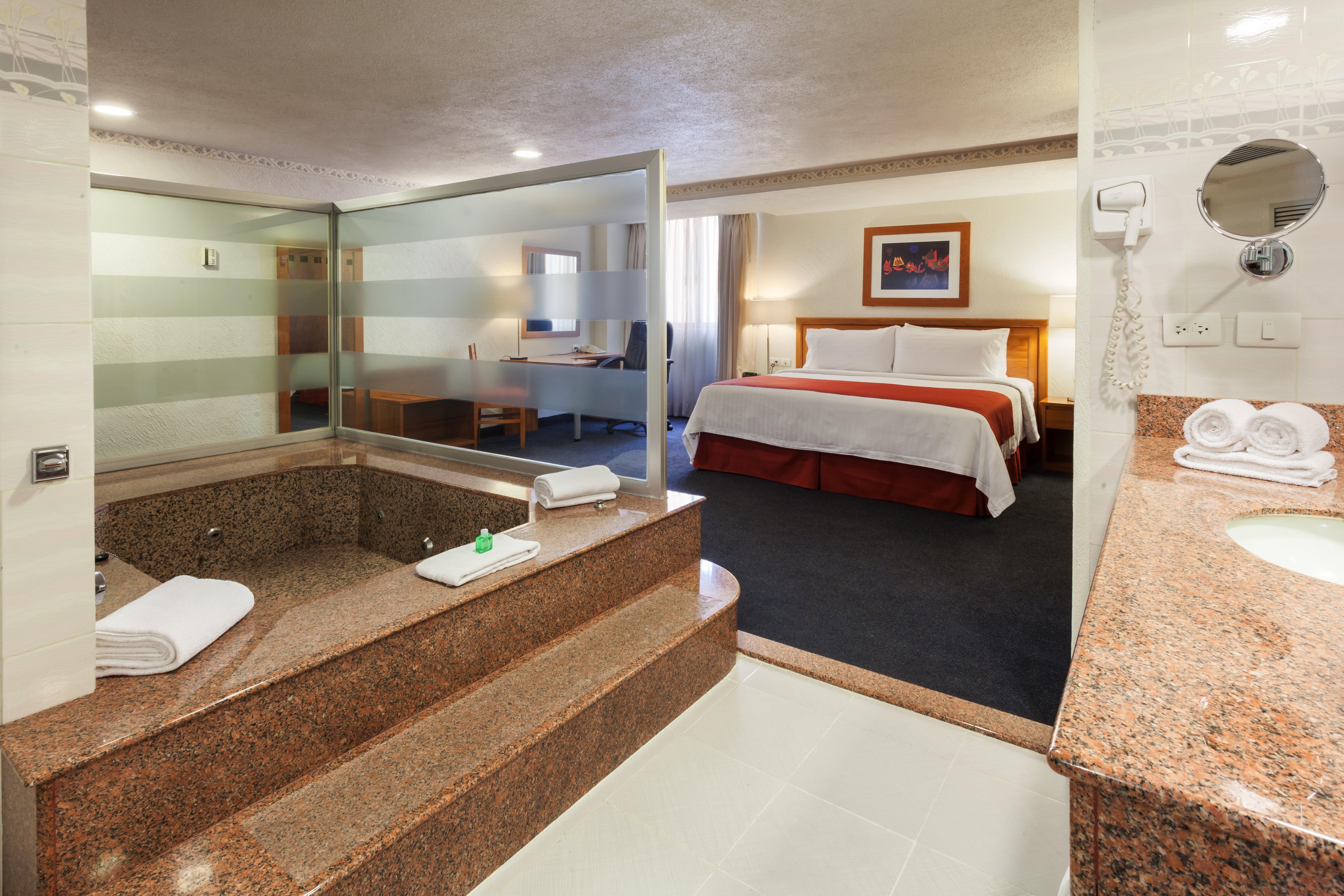 Holiday Inn Mexico Coyoacan Экстерьер фото